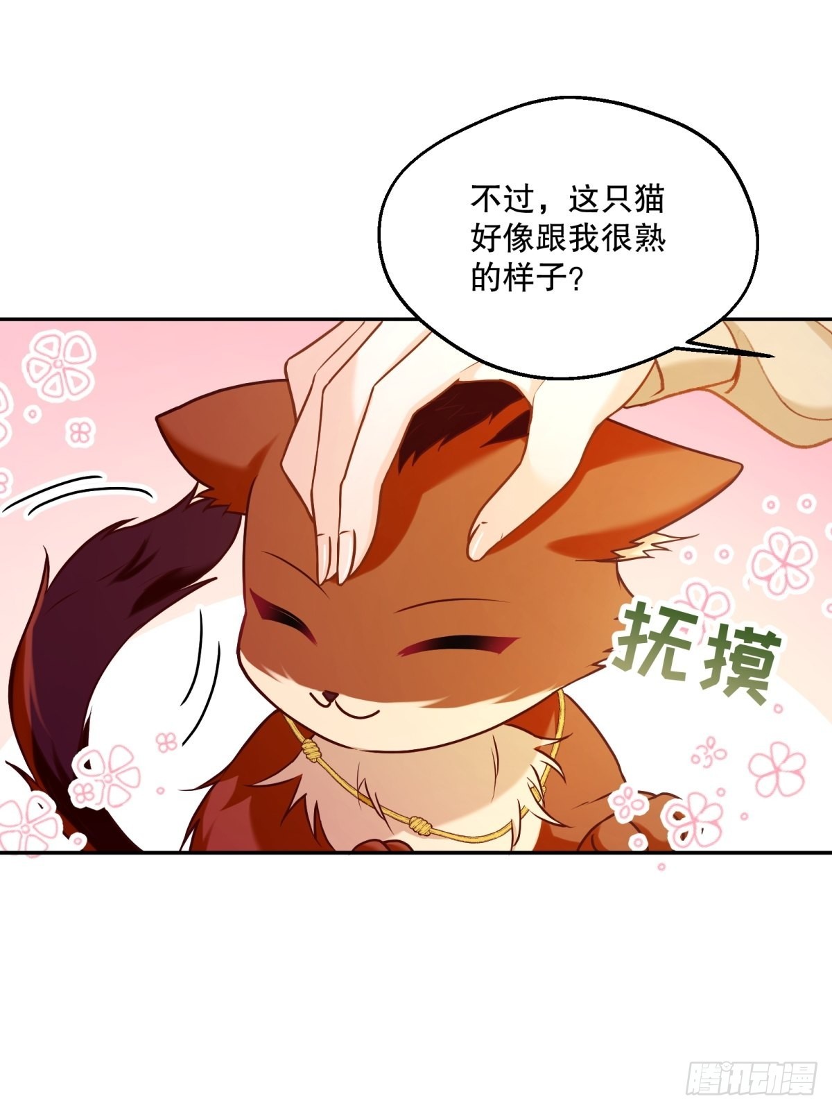 128-诱导11