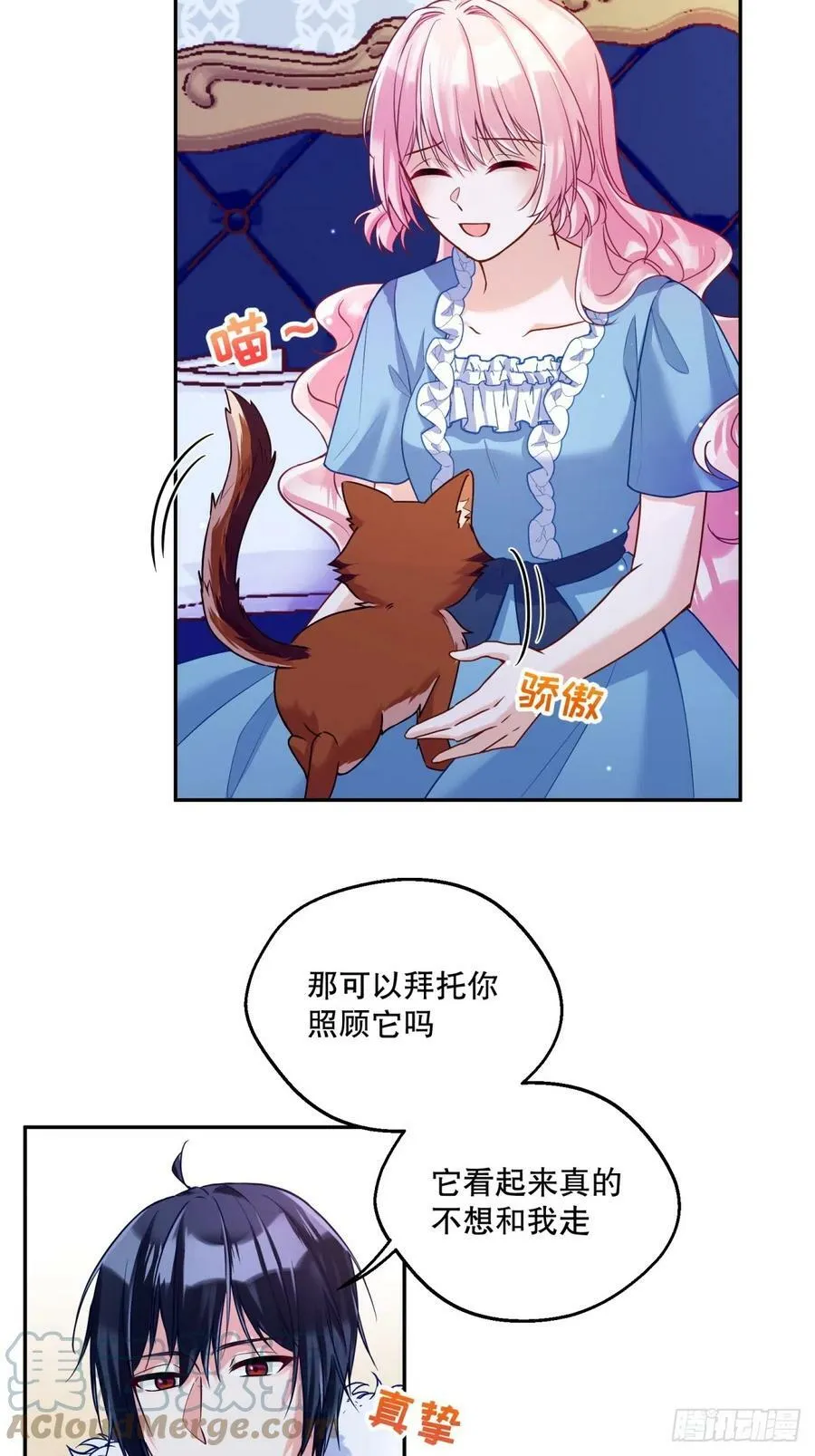 135-请收留可爱修猫14