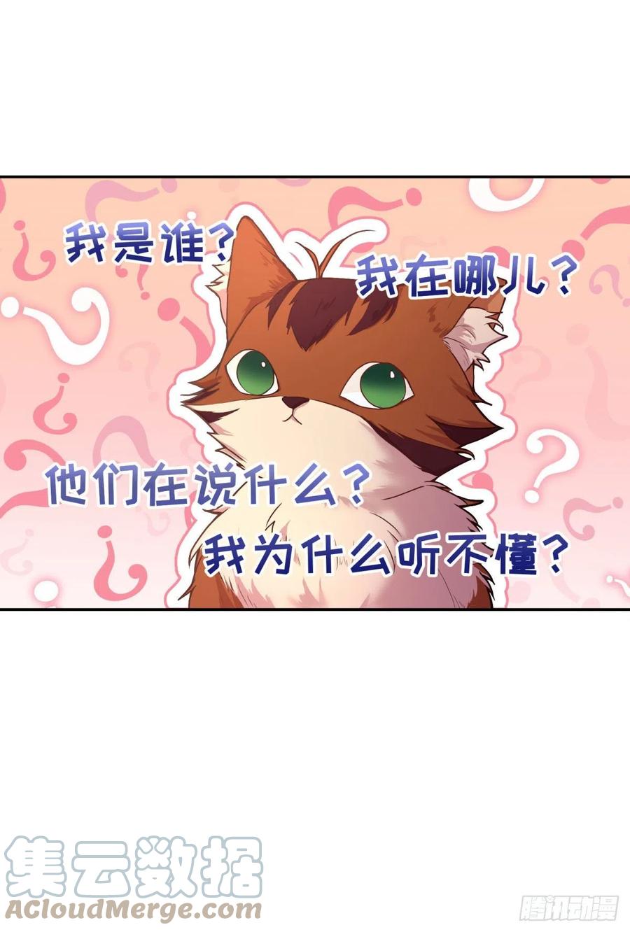 95-猜测证实6