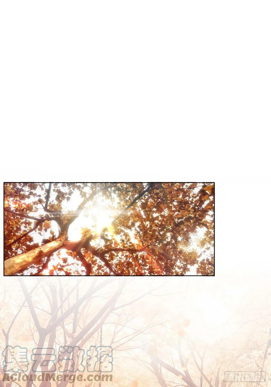 心里的排名24