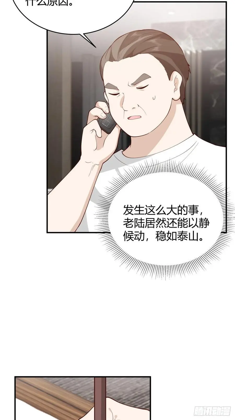 著名企业家陈总29