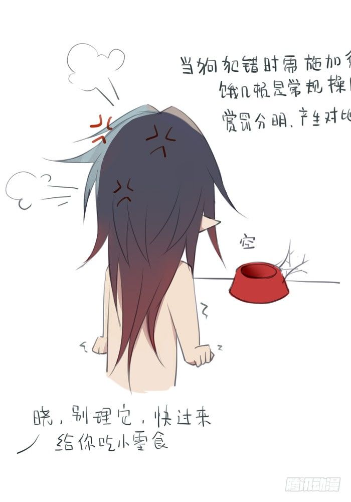 老罗的训狗手册26