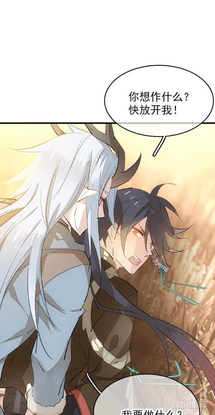 88 临时契约29