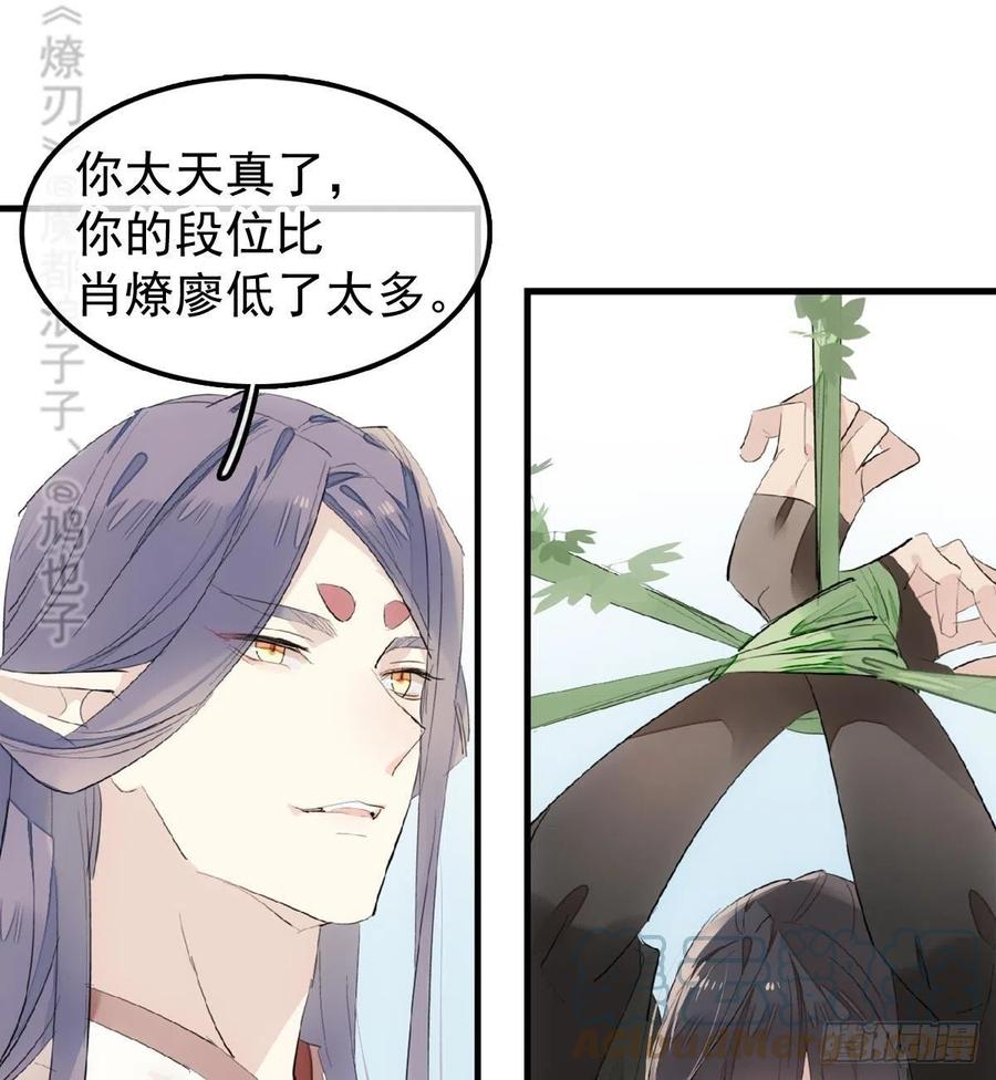 206 生死与共12