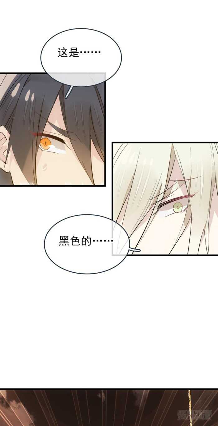 87 易初相见0