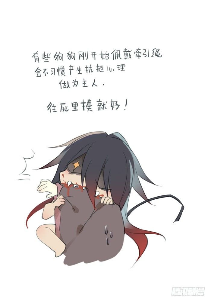 老罗的训狗手册23