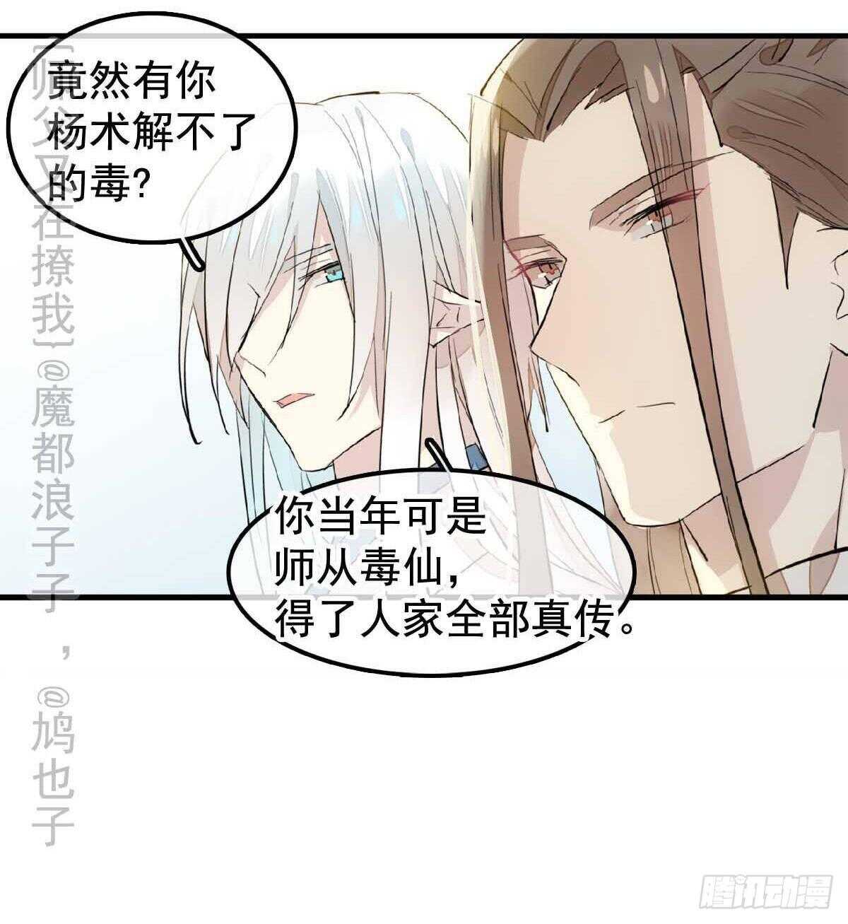 138 凤凰血10