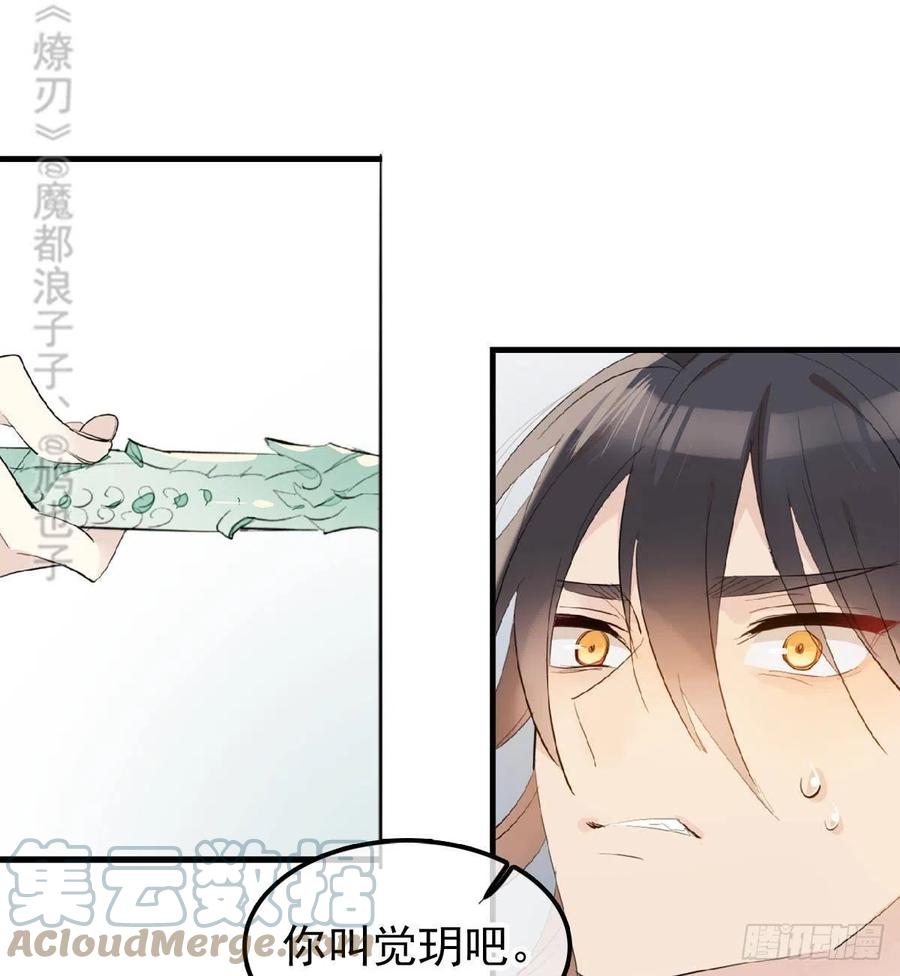 211 都是你的错6