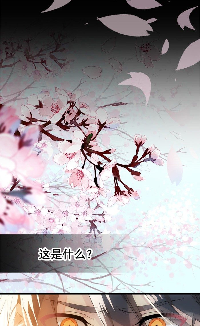 33 附加题17