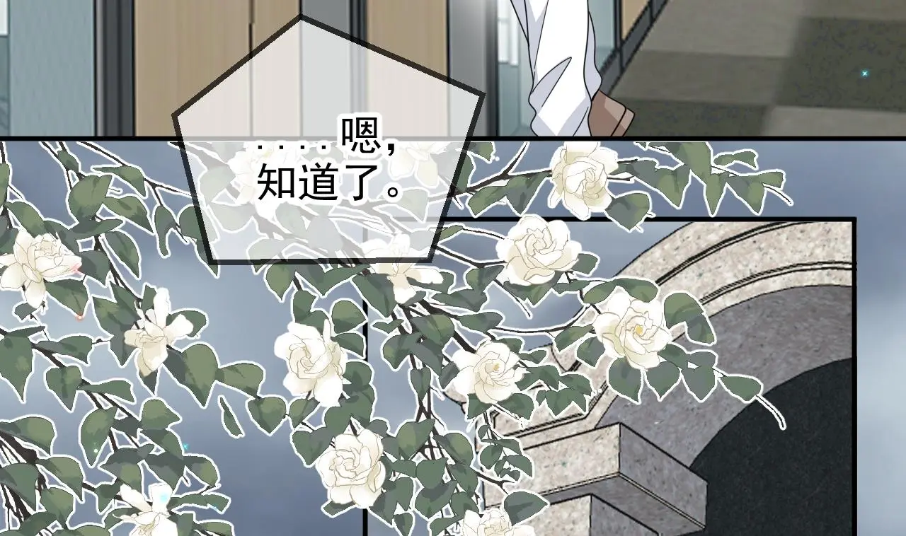 第95话 公开关系54