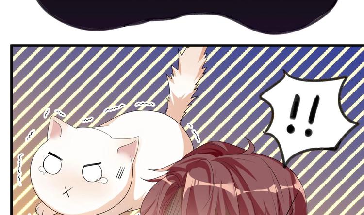 第1话 离！婚！106