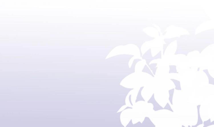 第1话 离！婚！72