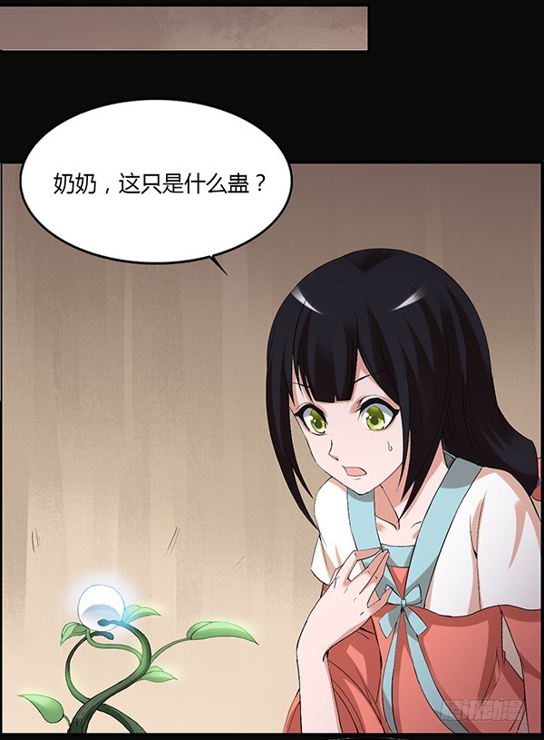 竞拍酒虫20