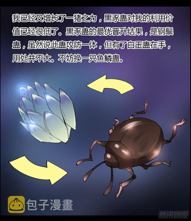 筹码26