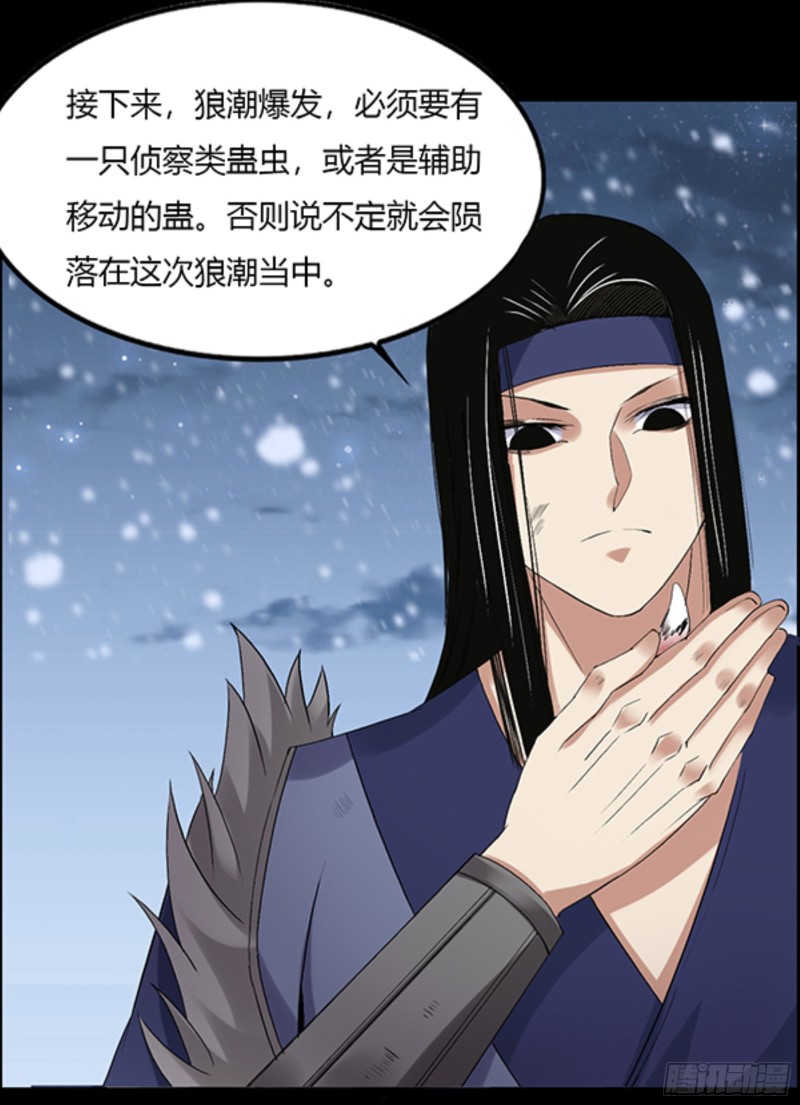 筹码15