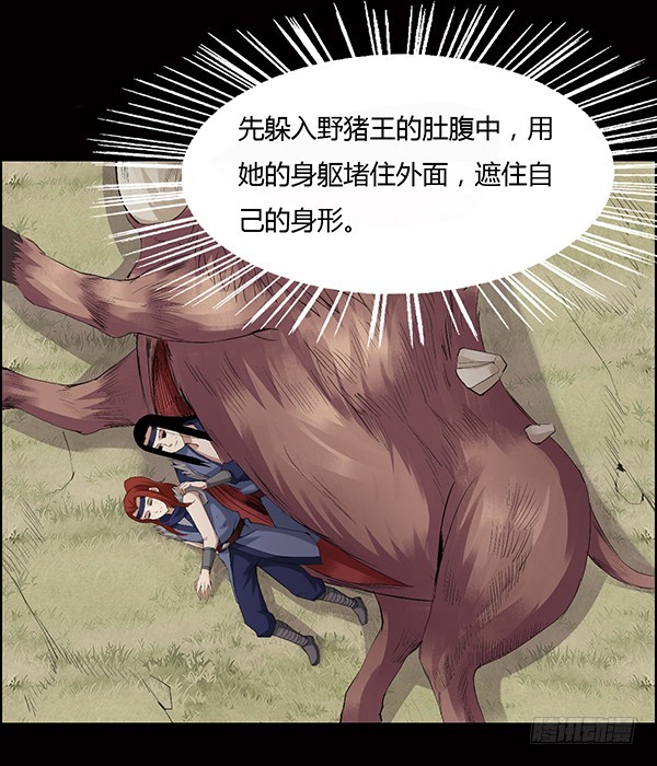猪的队友24