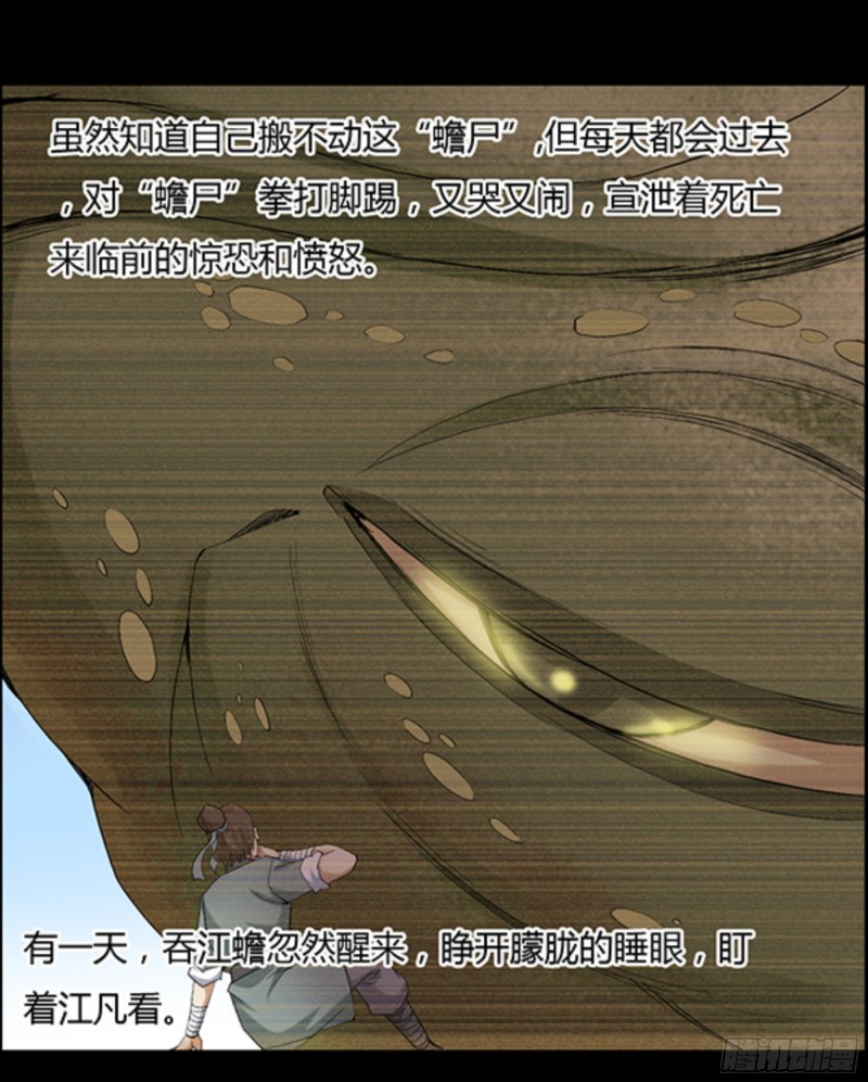 江凡与蟾3