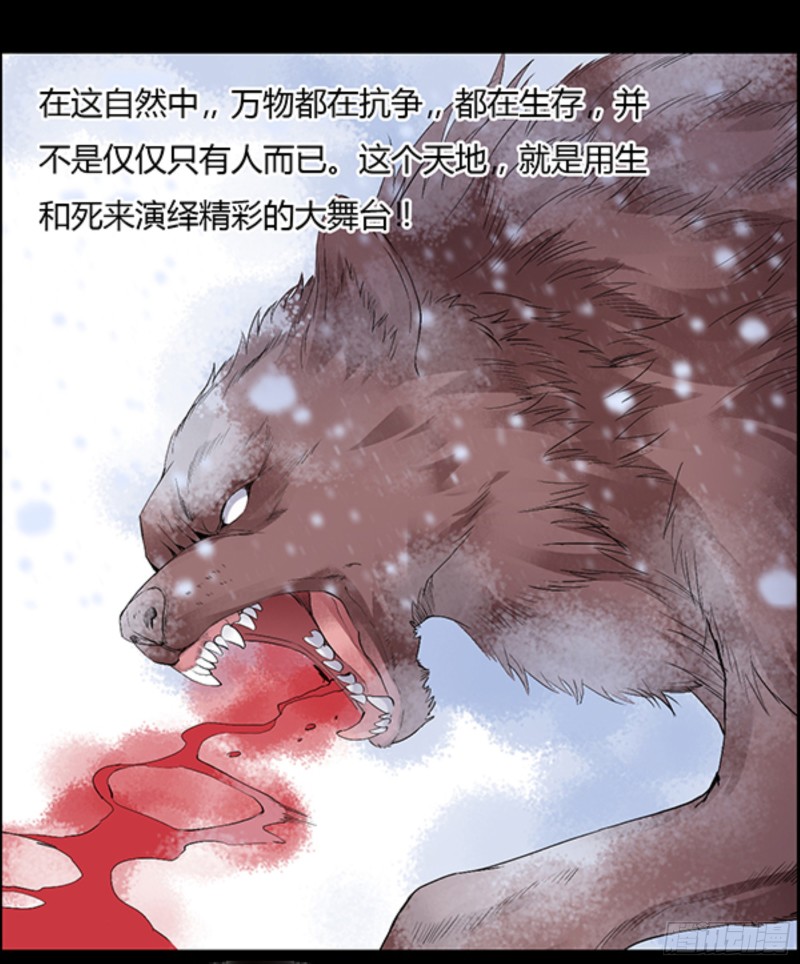 筹码14