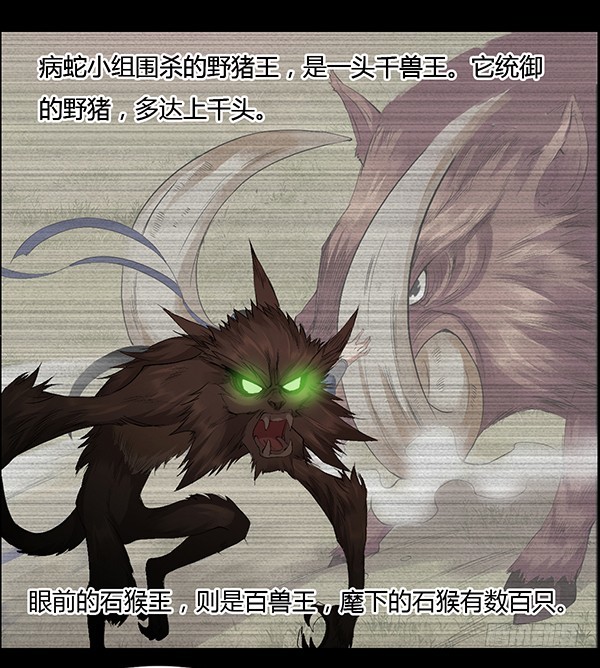 搏命7