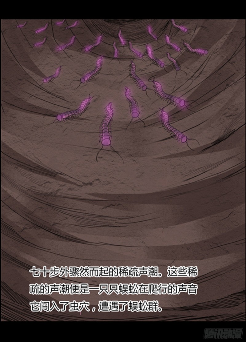 锯齿金蜈17