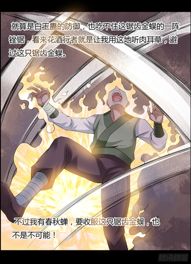 锯齿金蜈23