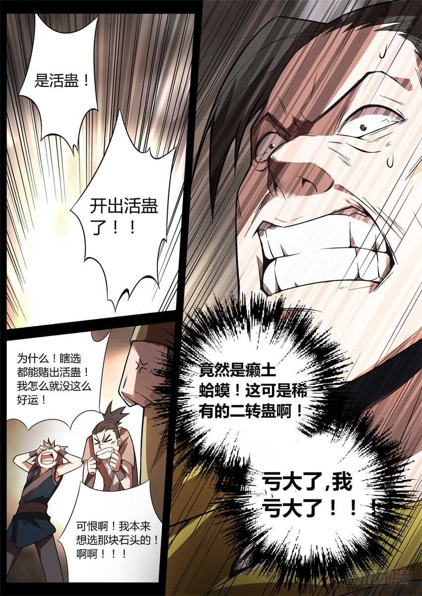 第六块紫金石5