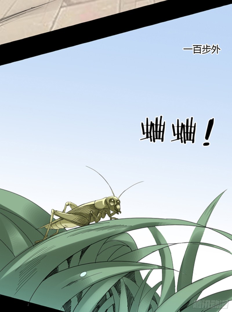 锯齿金蜈8