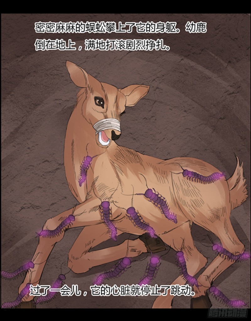 锯齿金蜈18