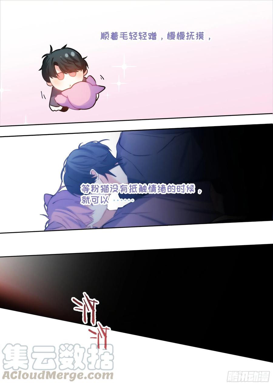 185.撸猫12