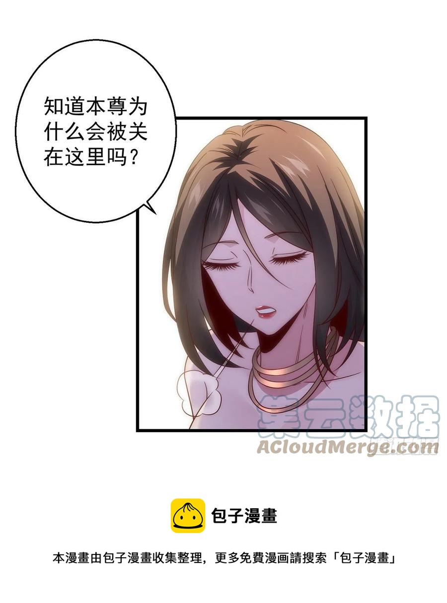搞阴谋45