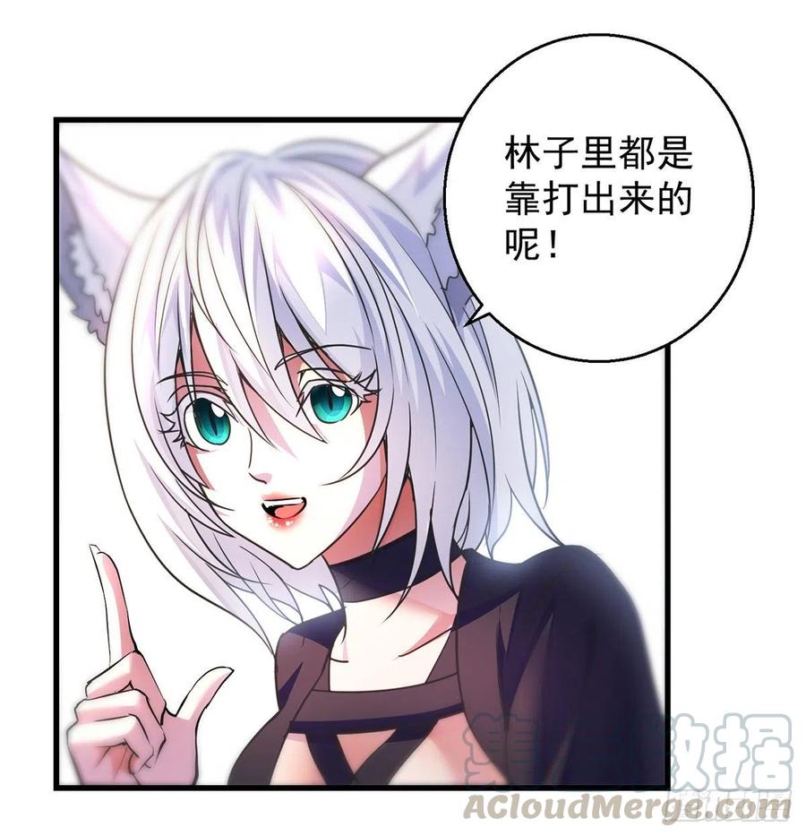抓点绝世高手来玩51