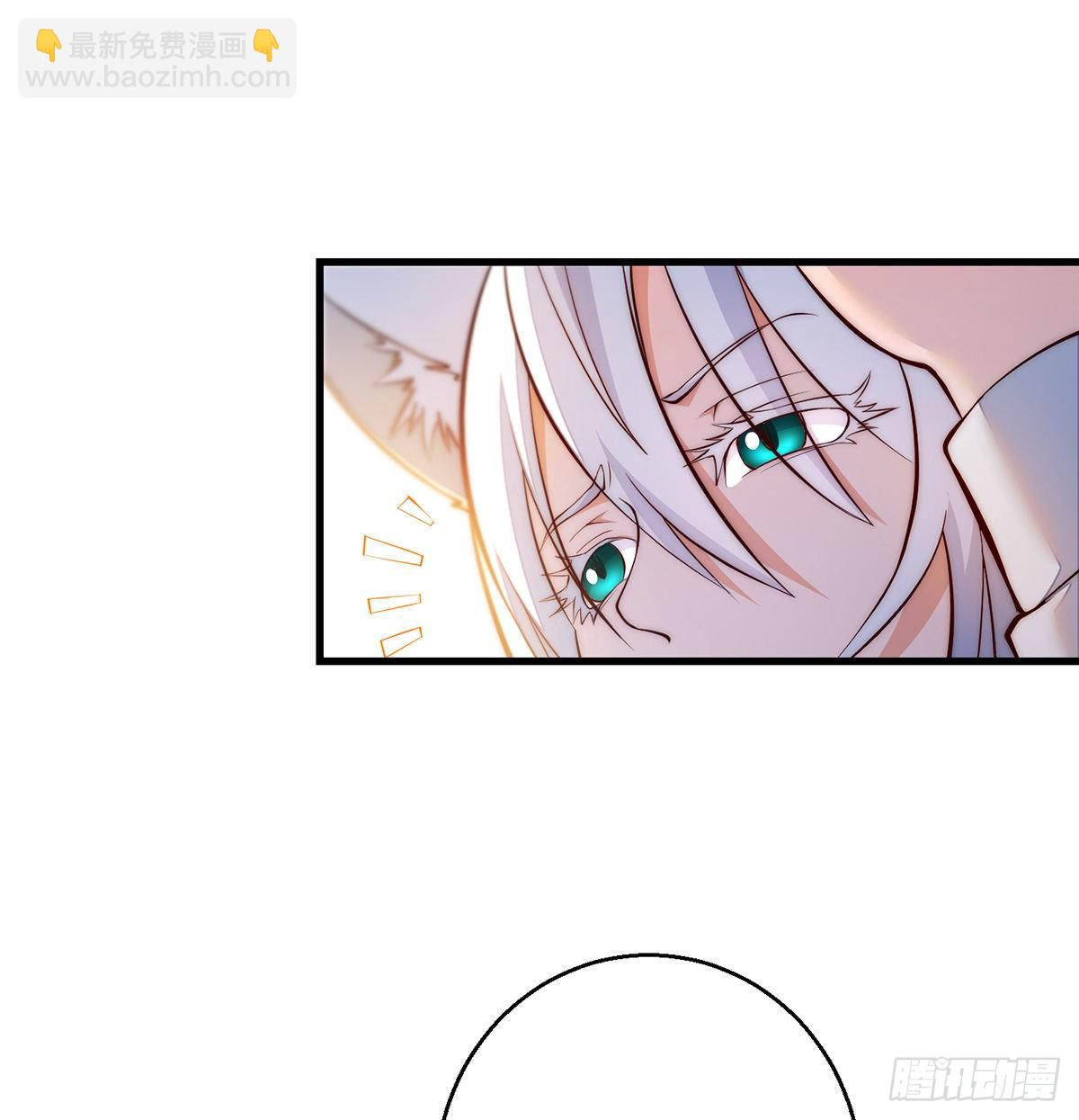 包装爆款狐妖31