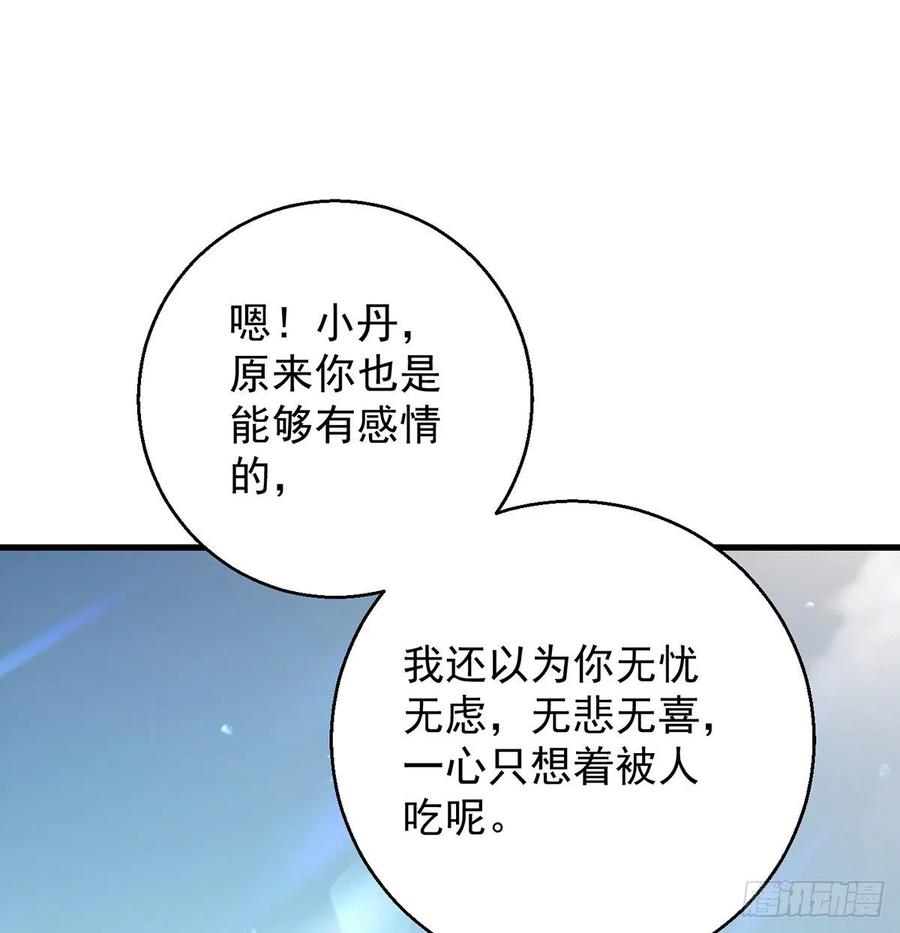 大还丹当掌门20