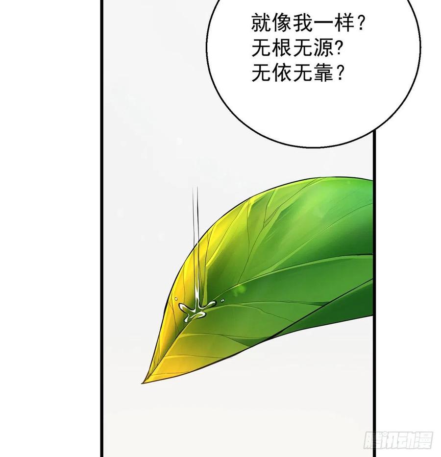 大还丹当掌门50