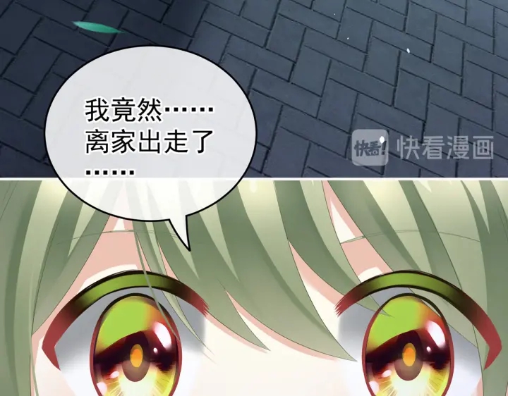 第199话 宁王夫要换人？178