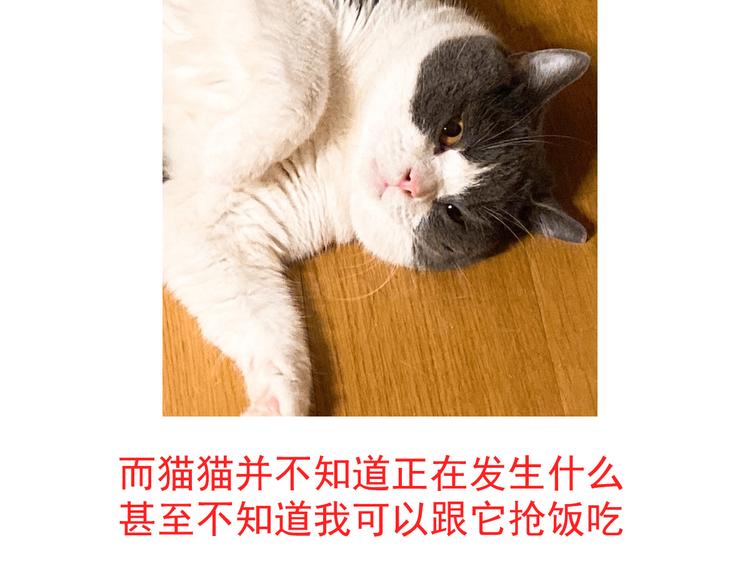 唠嗑+小番外8