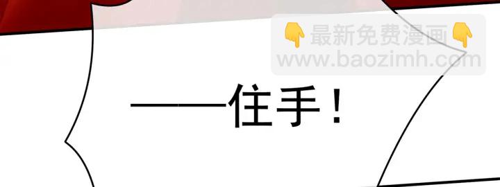 第199话 宁王夫要换人？33