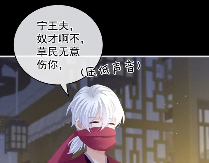 第200话 宁王大婚13