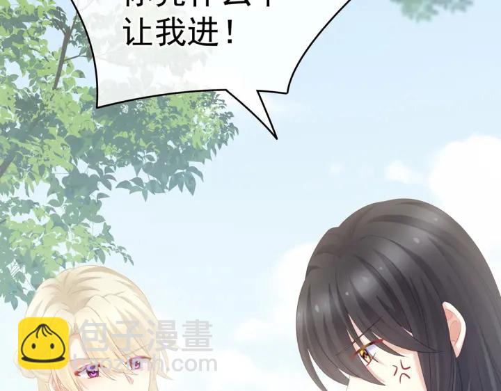 第199话 宁王夫要换人？108