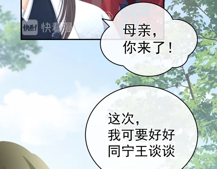 第199话 宁王夫要换人？122