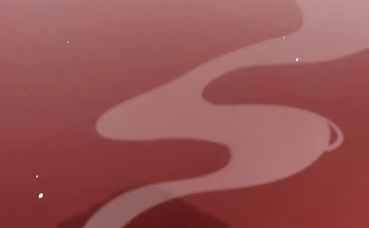 第147话 这辈子只能是她95