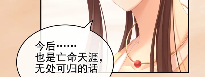 第199话 宁王夫要换人？27