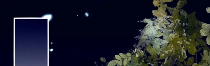 第180话 我不干净了！105