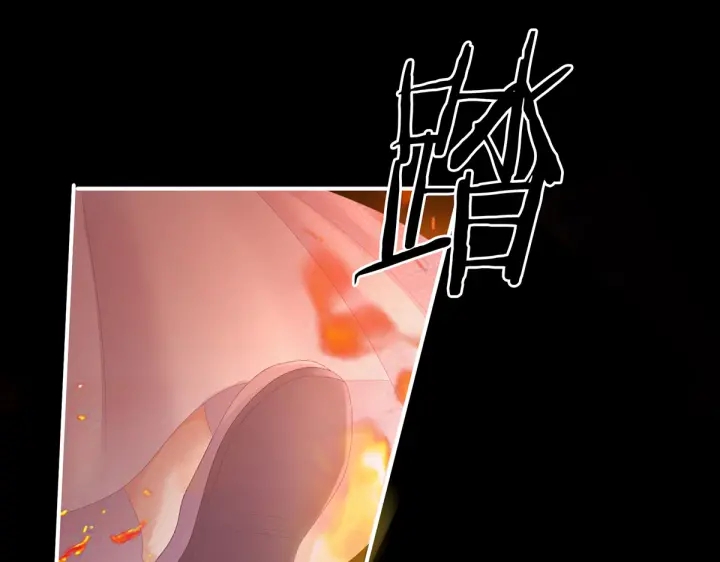 第222话 飞蛾扑火22