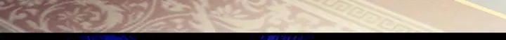 第202话 诚实的躯体77