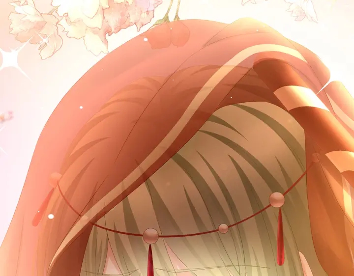 第200话 宁王大婚131