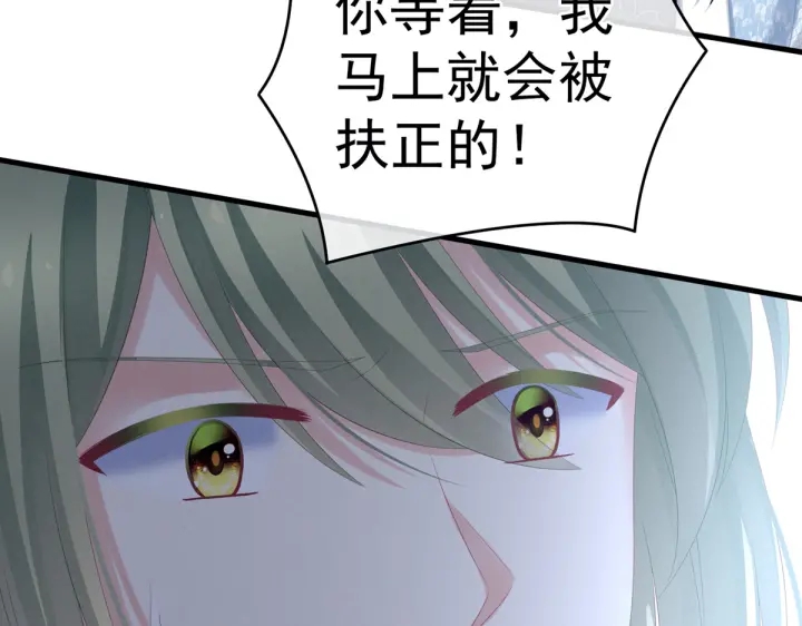 第199话 宁王夫要换人？116