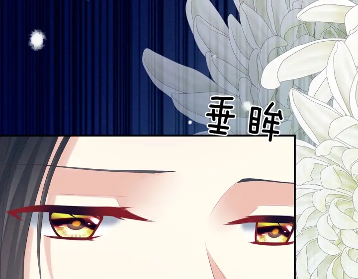 第205话 她不是我的妻主16