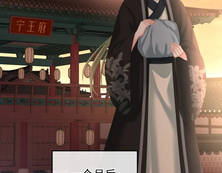 第199话 宁王夫要换人？174