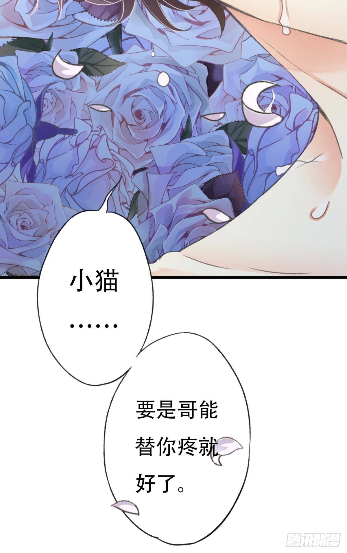 不是梦12